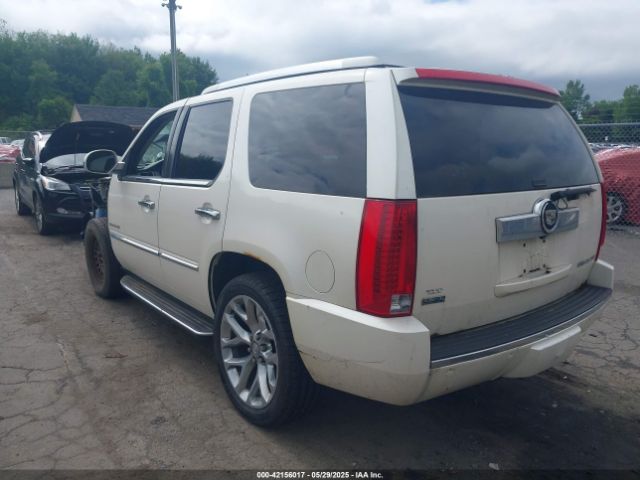 2010 CADILLAC ESCALADE 1GYUKBEFXAR101977 Photo 2