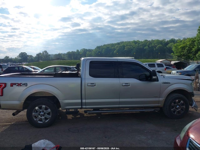 1FTFW1EGXFKE08135 Ford F-150 Xlt