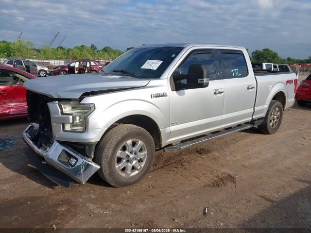 1FTFW1EGXFKE08135 Ford F-150 Xlt