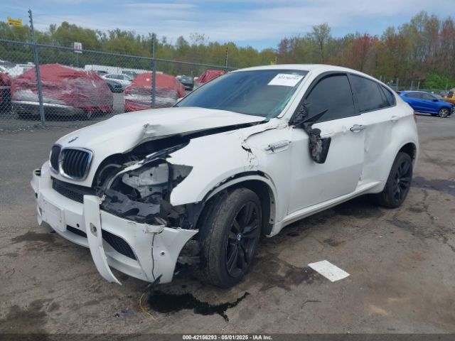2013 BMW X6 M 5YMGZ0C52DLL29807 Photo 1