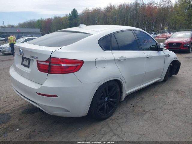 2013 BMW X6 M 5YMGZ0C52DLL29807 Photo 3