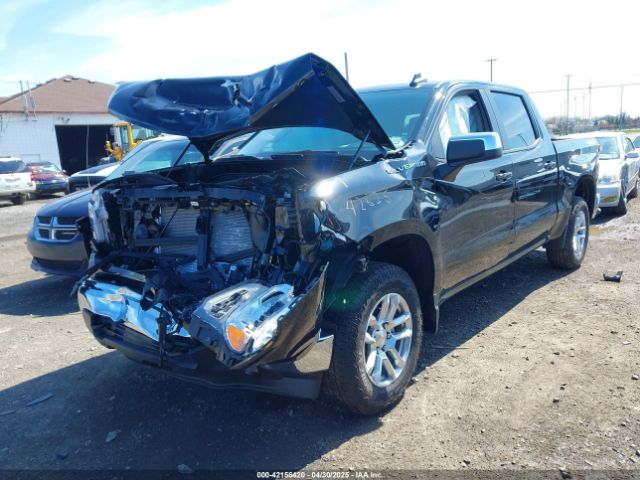 2025 CHEVROLET SILVERADO 1500 1GCPKKEKXSZ234143 Photo 1