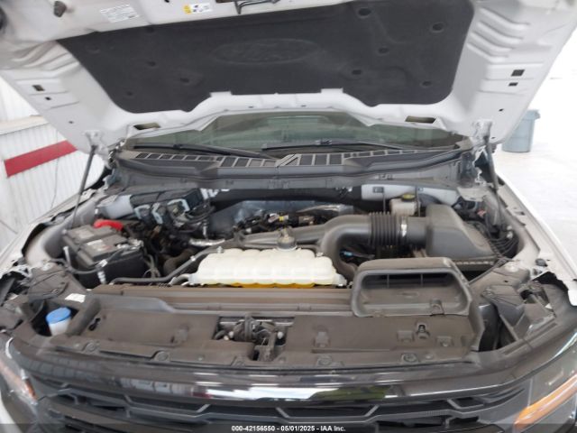 1FTEW3KP6RKD55370 Ford F-150 Xlt