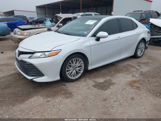4T1B11HK0KU841129 Toyota CAMRY XLE