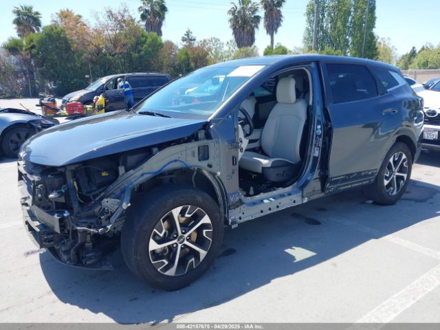 2024 KIA SPORTAGE 5XYK33DF4RG161104 Photo 1