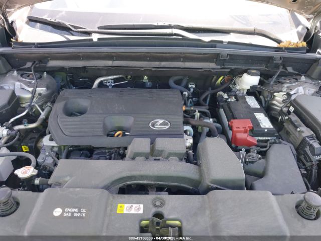 2024 LEXUS NX 250 2T2ADCAZ9RC009348 Photo 9
