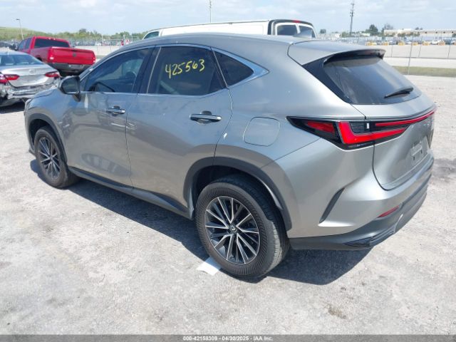 2024 LEXUS NX 250 2T2ADCAZ9RC009348 Photo 2