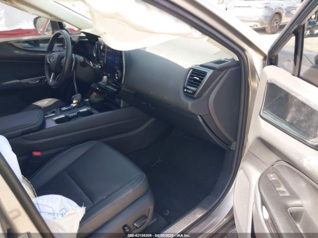2024 LEXUS NX 250 2T2ADCAZ9RC009348 Photo 4