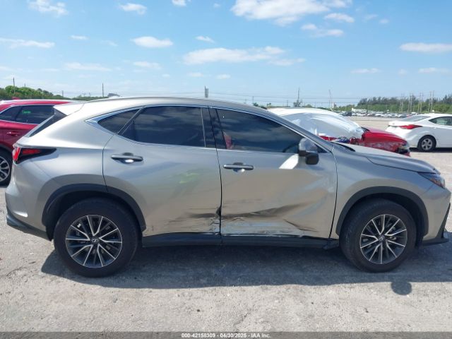 2024 LEXUS NX 250 2T2ADCAZ9RC009348 Photo 5
