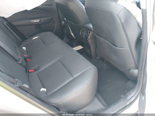 2024 LEXUS NX 250 2T2ADCAZ9RC009348 Photo 7
