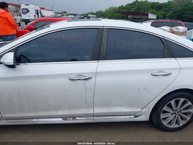 5NPE34AF7GH349130 Hyundai Sonata Sport