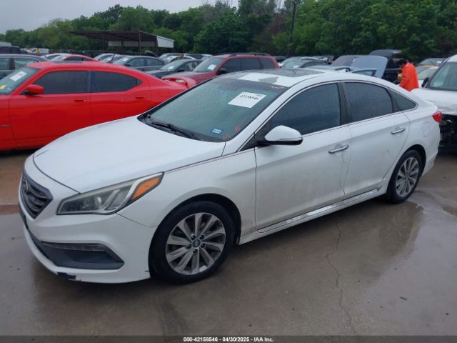 5NPE34AF7GH349130 Hyundai Sonata Sport