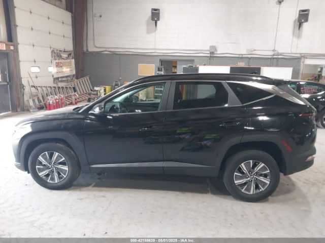 KM8JBCA1XNU065831 Hyundai Tucson Hybrid Blue