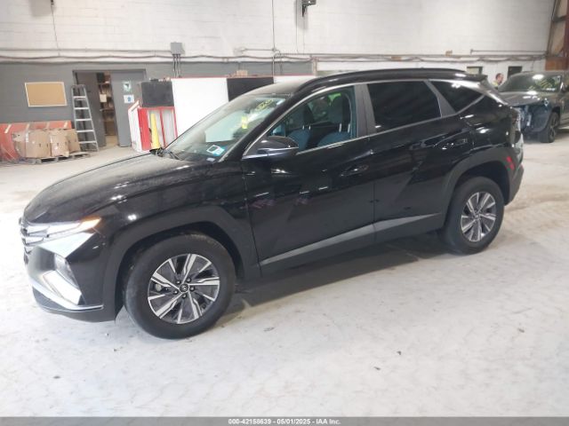 KM8JBCA1XNU065831 Hyundai Tucson Hybrid Blue