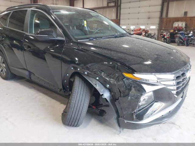 KM8JBCA1XNU065831 Hyundai Tucson Hybrid Blue