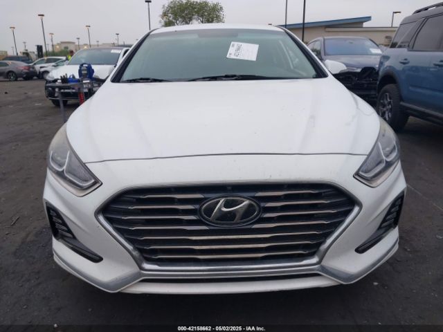 5NPE34AF4JH645522 Hyundai SONATA SEL