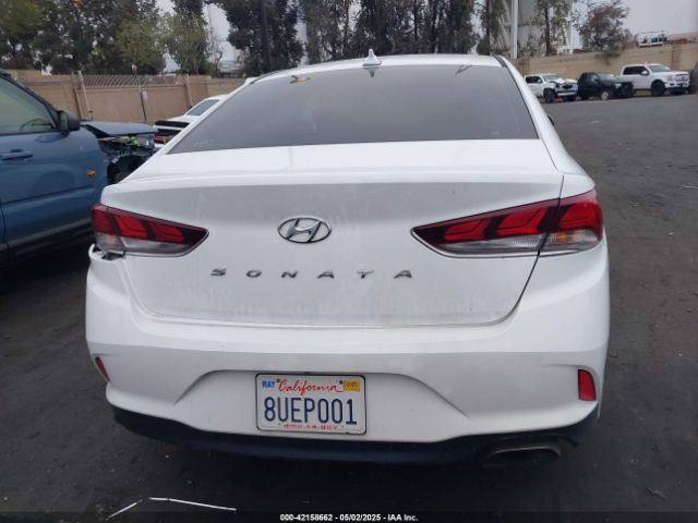 5NPE34AF4JH645522 Hyundai SONATA SEL