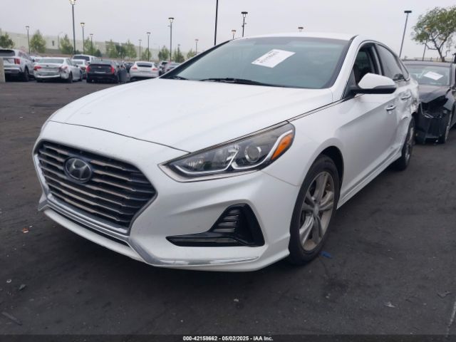 5NPE34AF4JH645522 Hyundai SONATA SEL