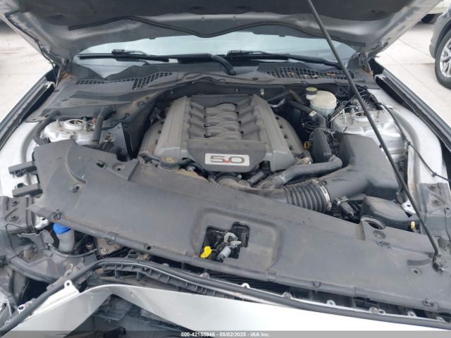 1FA6P8CF7F5343510 Ford MUSTANG GT
