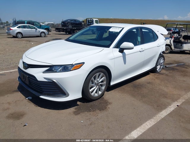 4T1C11AK8RU222206 Toyota CAMRY LE