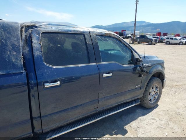 1FTFW1EG2GKD33593 Ford F-150 Xlt