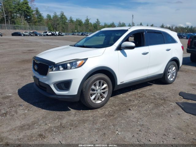 5XYPGDA35GG105972 KIA Sorento 2.4l Lx
