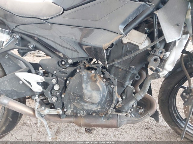 Kawasaki Ninja 500 2024 ML5EXGH14RDA27096 Image 8