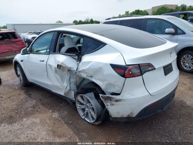 2023 TESLA MODEL Y 7SAYGDEE2PA192205 Photo 2