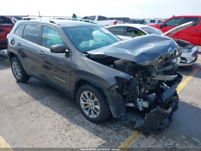 2019 JEEP CHEROKEE 1C4PJLLB3KD143546
