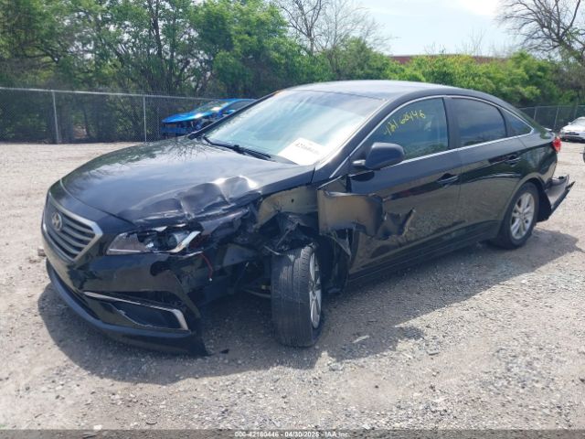 5NPE24AF2HH515381 Hyundai SONATA SE