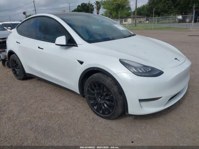 2021 TESLA MODEL Y 5YJYGDEE1MF088316