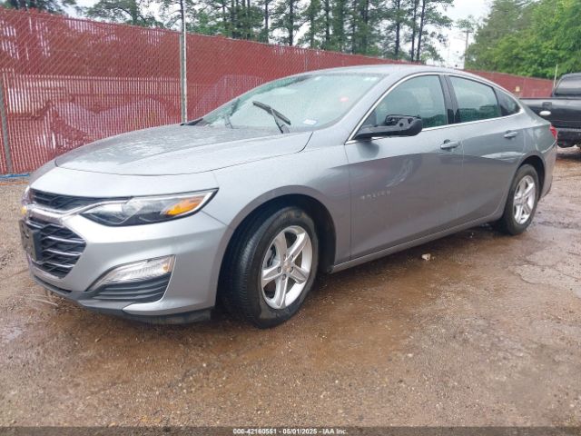 2024 CHEVROLET MALIBU 1G1ZB5STXRF142557 Photo 1