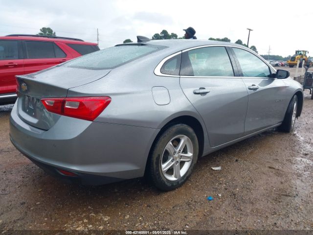 2024 CHEVROLET MALIBU 1G1ZB5STXRF142557 Photo 3