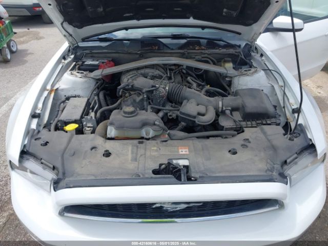 1ZVBP8EM2E5220391 Ford Mustang V6 Premium