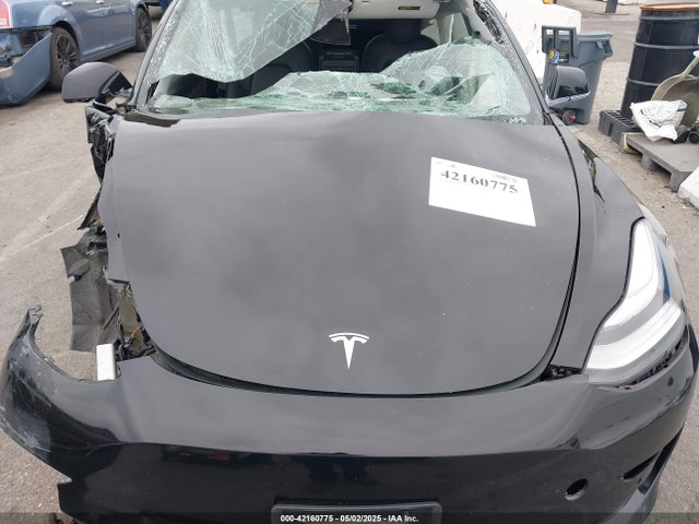 2019 TESLA MODEL 3 5YJ3E1EB5KF434613 Photo 9