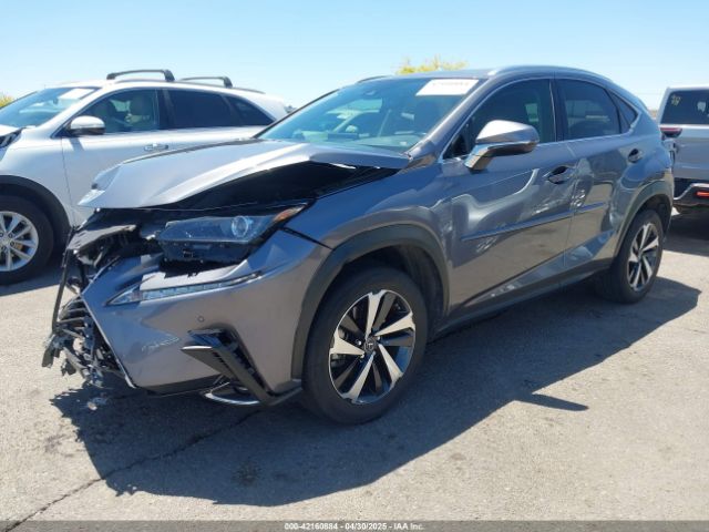 JTJDARBZ5L5009845 Lexus NX 300