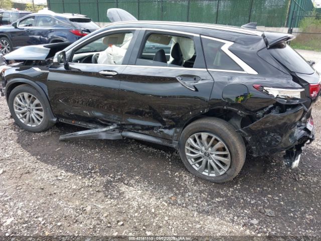 2024 INFINITI QX50 3PCAJ5BB9RF101243 Photo 2