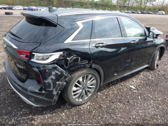 2024 INFINITI QX50 3PCAJ5BB9RF101243 Photo 3