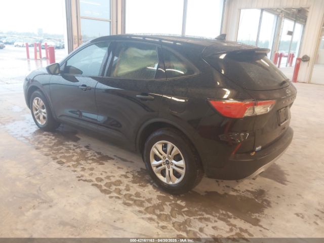 2020 FORD ESCAPE 1FMCU0F66LUB67615 Photo 2