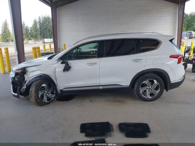 Hyundai Santa Fe Sel 2023 5NMS34AJ3PH548146 Image 14