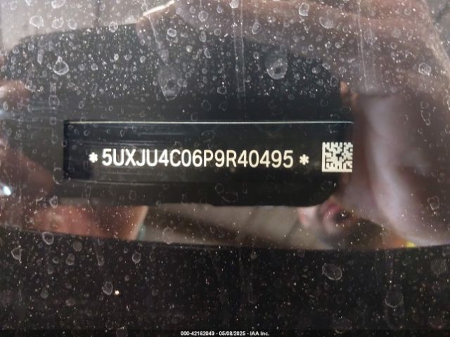 5UXJU4C06P9R40495 BMW X5 M50i