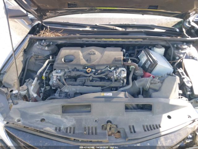 4T1C11AKXMU408676 Toyota CAMRY LE