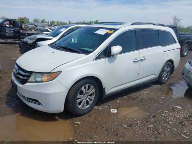 5FNRL5H65FB030271 Honda Odyssey Ex-l