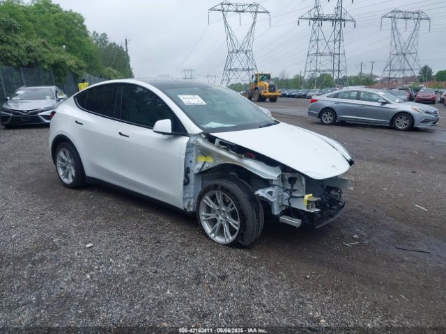 2021 TESLA MODEL Y 5YJYGDEE2MF098692
