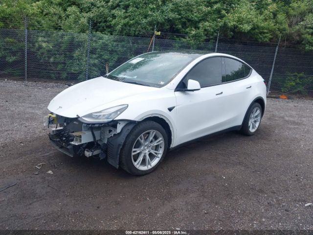 2021 TESLA MODEL Y 5YJYGDEE2MF098692 Photo 1
