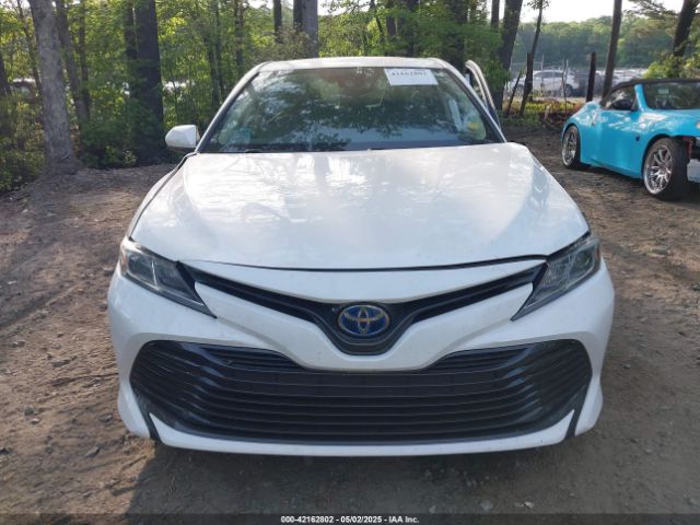 4T1B31HK4KU005351 Toyota Camry Hybrid Le