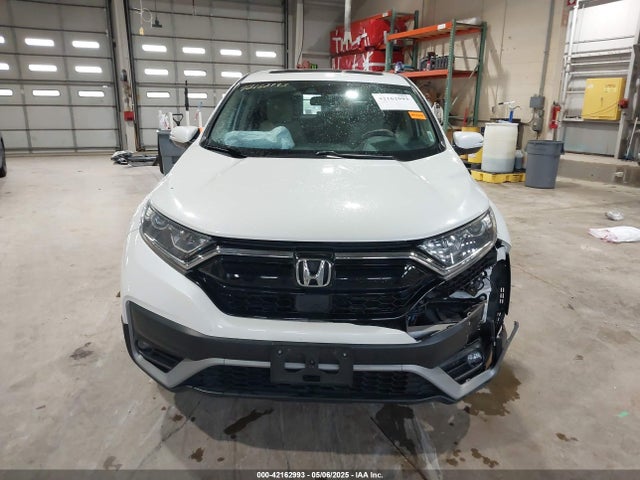 Honda Cr-v Awd Ex 2020 5J6RW2H52LL044645 Image 12