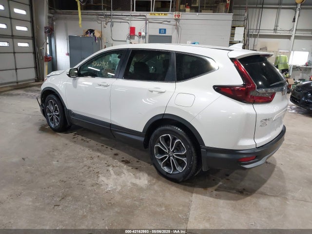 Honda Cr-v Awd Ex 2020 5J6RW2H52LL044645 Image 3
