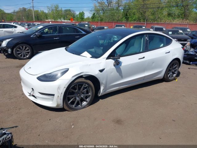 2019 TESLA MODEL 3 5YJ3E1EB3KF450602 Photo 1