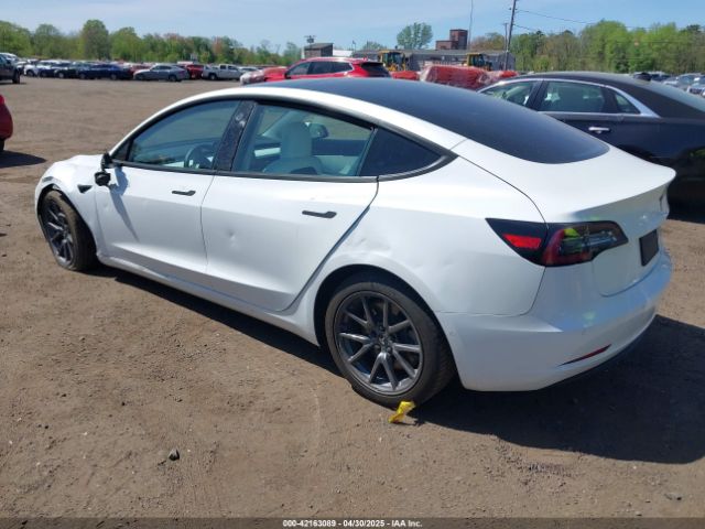 2019 TESLA MODEL 3 5YJ3E1EB3KF450602 Photo 2